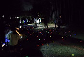 1711263743710-1.jpg