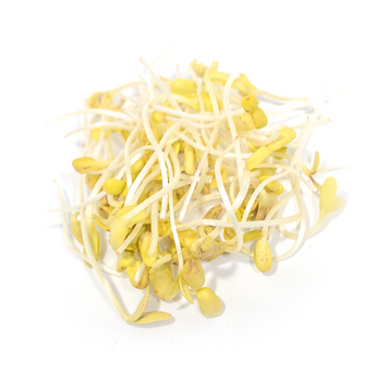 Ekran görüntüsü 2025-10-02 142931.png