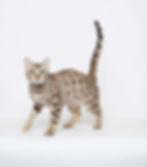 226fb61e-e5fa-4085-b934-7e809d892d72