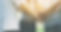 AdobeStock_186411793_Preview.jpeg