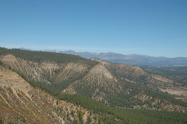 DSC_0244.JPG