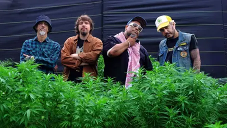 Planet Hemp anuncia turnê de despedida após mais de 30 anos de história