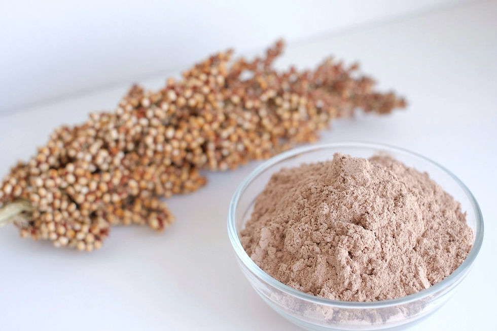 サムネイル： アルファ化赤ソルガムの粉 500g