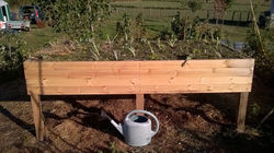 WP_20150909_18_09_54_Pro