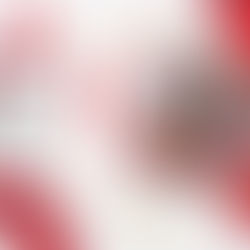 2/7はまち百貨店開催日♪