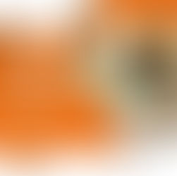 Assistant(e)-chef de projets maitrise MOEX (H/F)