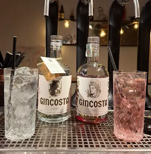 Cocktail e bottiglie di gin al bancone di PaneLiquido a Roma Ostiense, locale perfetto per aperitivo e serata drink.