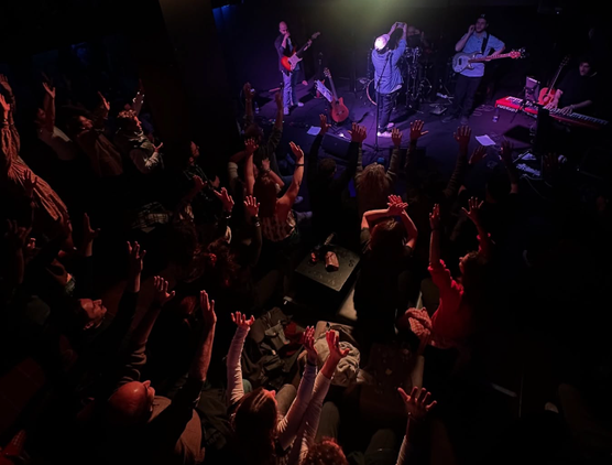 Pubblico durante concerto live a L’Asino Che Vola Roma, locale con musica dal vivo a Roma