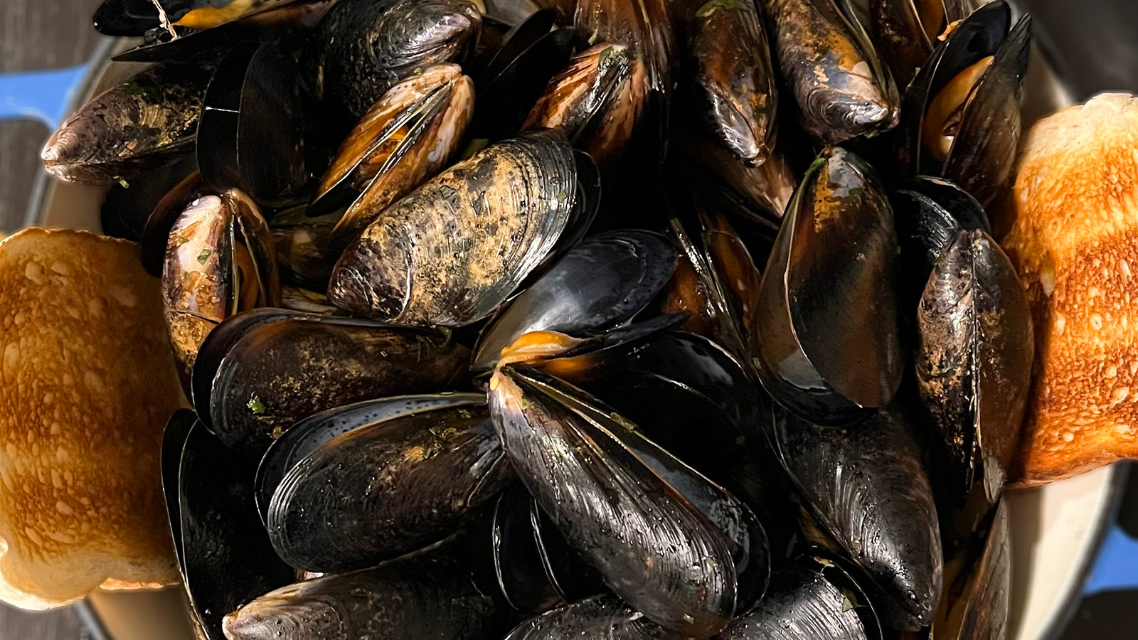 Impepata di cozze alla marinara, antipasto di pesce, album tutta vita di Olly