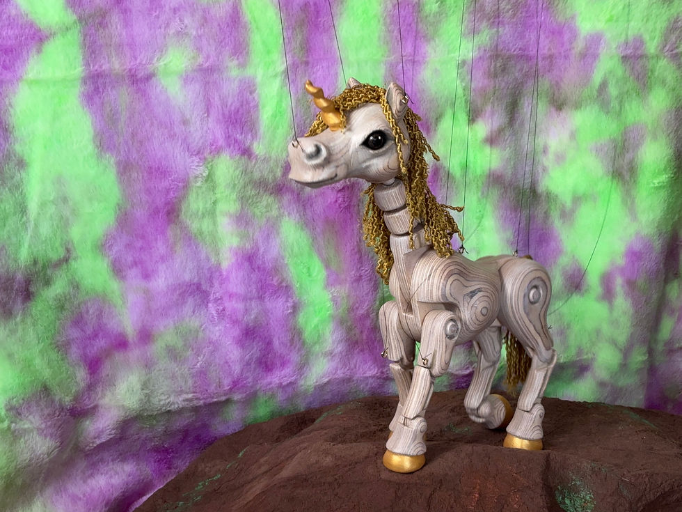 Unicorns pic.JPG