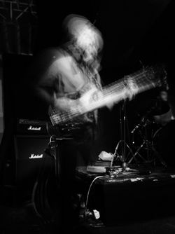 POMELO_20180403125617_save