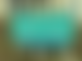 Tacos, Turkey, and a Totally Legit Guitar Solo – Week 6 at Splash RV Resort