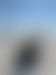 Sun, Shells, Songs, and a Sand Crane Conversation — Week 5 at Splash RV Resort