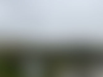 Brews, Views, and Bike Rides: Asheville from the Hillside Up