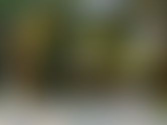 Week 1 at Splash RV Resort: Bikes, Birthdays & Big Halloween Energy