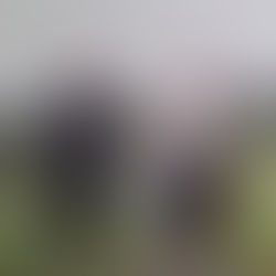 תּוֹדָה: חַיִּים שֶׁל שְׁלֵמוּת