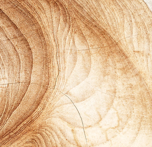 Bois Clair copie 2_edited_edited.jpg