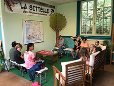 IMG_6942.JPEG