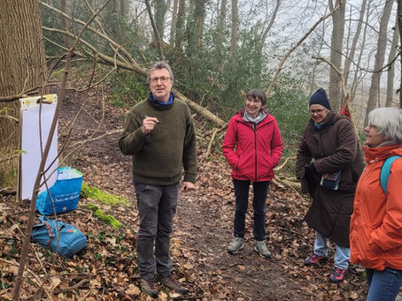 LNSB : Les plantes sans fleur !