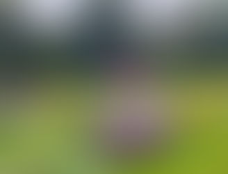 Ese minuto estelar - 5 de septiembre -