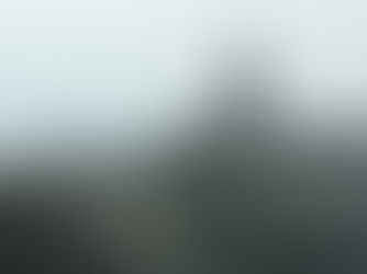 Niebla - 30 de marzo -