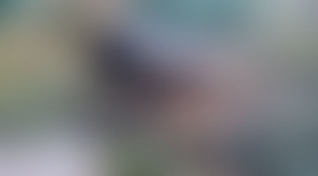 Souvenir d'automne - 28 décembre -