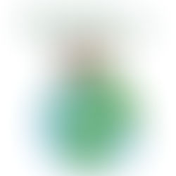 Dag van de Aarde in Gent