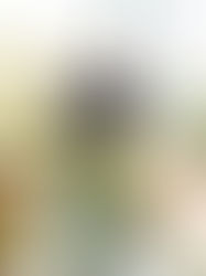 FINO IV 隨身型動包4.0