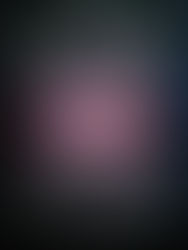 蓮池潭《心安平安祈福活動》