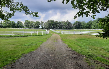 20210701_123813 (1).jpg