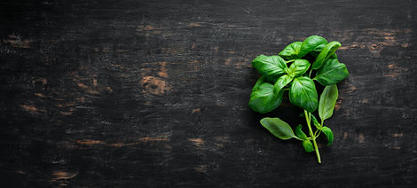 AdobeStock_239566173.jpeg