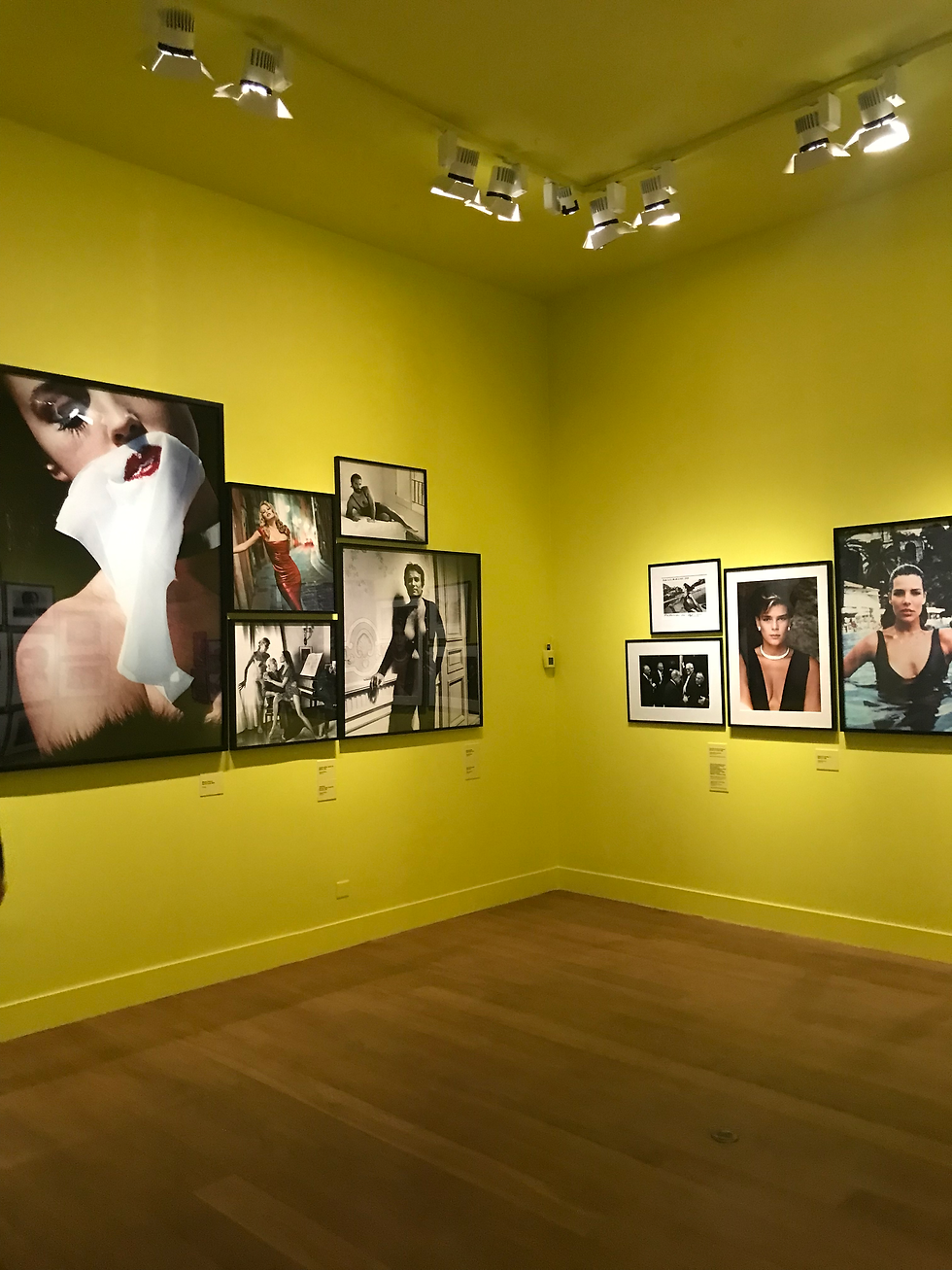 Helmut Newton, Riviera exhibition in Monaco