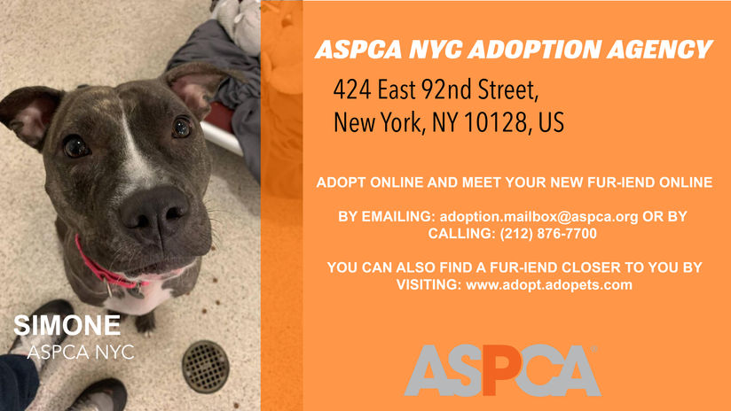 Adoption Event E-Flyer
