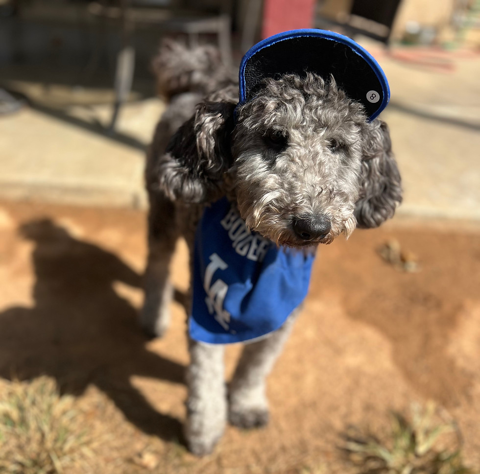 Luna Dodgers.jpeg