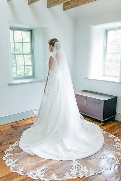 Bride in Wedding Gown.jpg