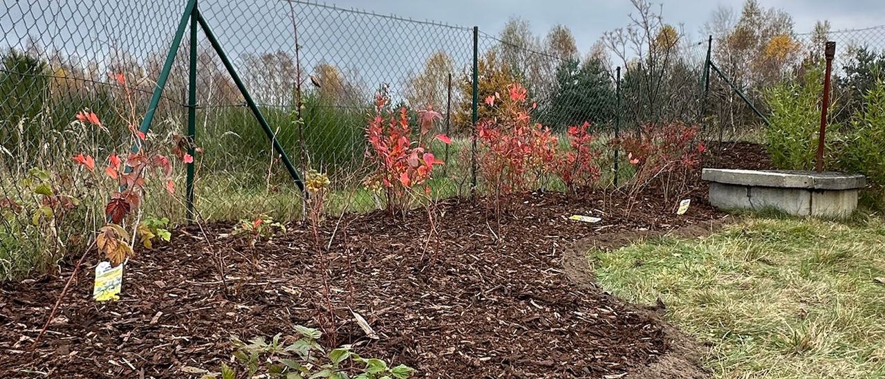 Zahradnické práce Mladá Boleslav
Údržba zahrady Mladá Boleslav
Zahradník Mladá Boleslav
Sekání trávy Mladá Boleslav
Zahradní údržba Mladá Boleslav
Péče o zahradu Mladá Boleslav
Údržba trávníku Mladá Boleslav
Řezání živého plotu Mladá Boleslav
Péče o stromy Mladá Boleslav
Zahradní služby Mladá Boleslav
Zahradní design Mladá Boleslav
Zahradní jezírka Mladá Boleslav
Opravy a údržba plotů Mladá Boleslav
Péče o záhony Mladá Boleslav
Údržba okrasných rostlin Mladá Boleslav
Zahradní odpad Mladá Boleslav
Prořezávání stromů Mladá Boleslav