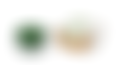 【K-Beauty革新】欧米で爆発的人気の「Arriba（アリバ）」クリーム、日本市場へ上陸 — 「低刺激・高機能」の新たな基準を提示