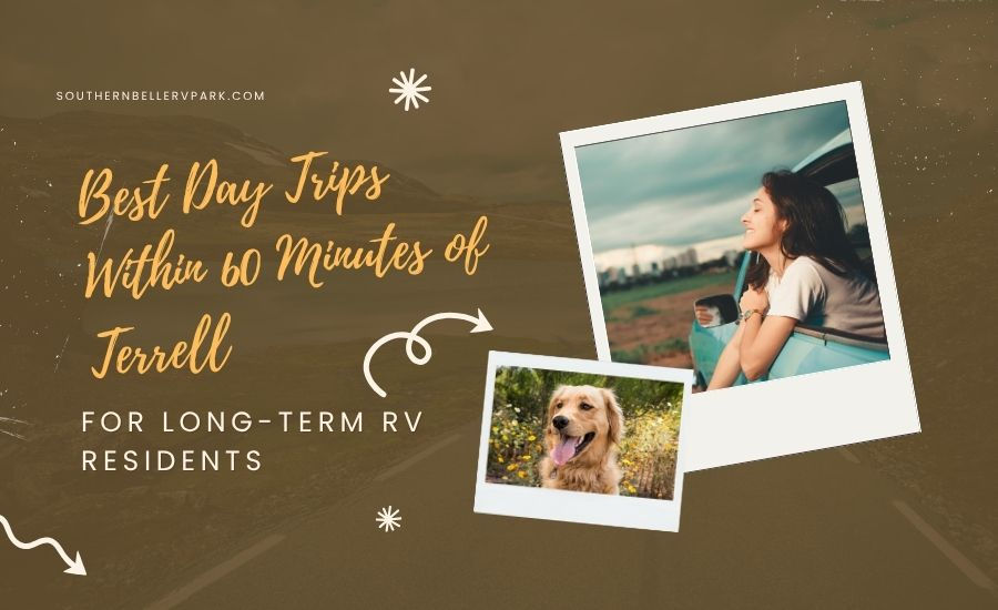 Best Day Trips Within 60 Minutes of Terrell for Long-Term RV Residents