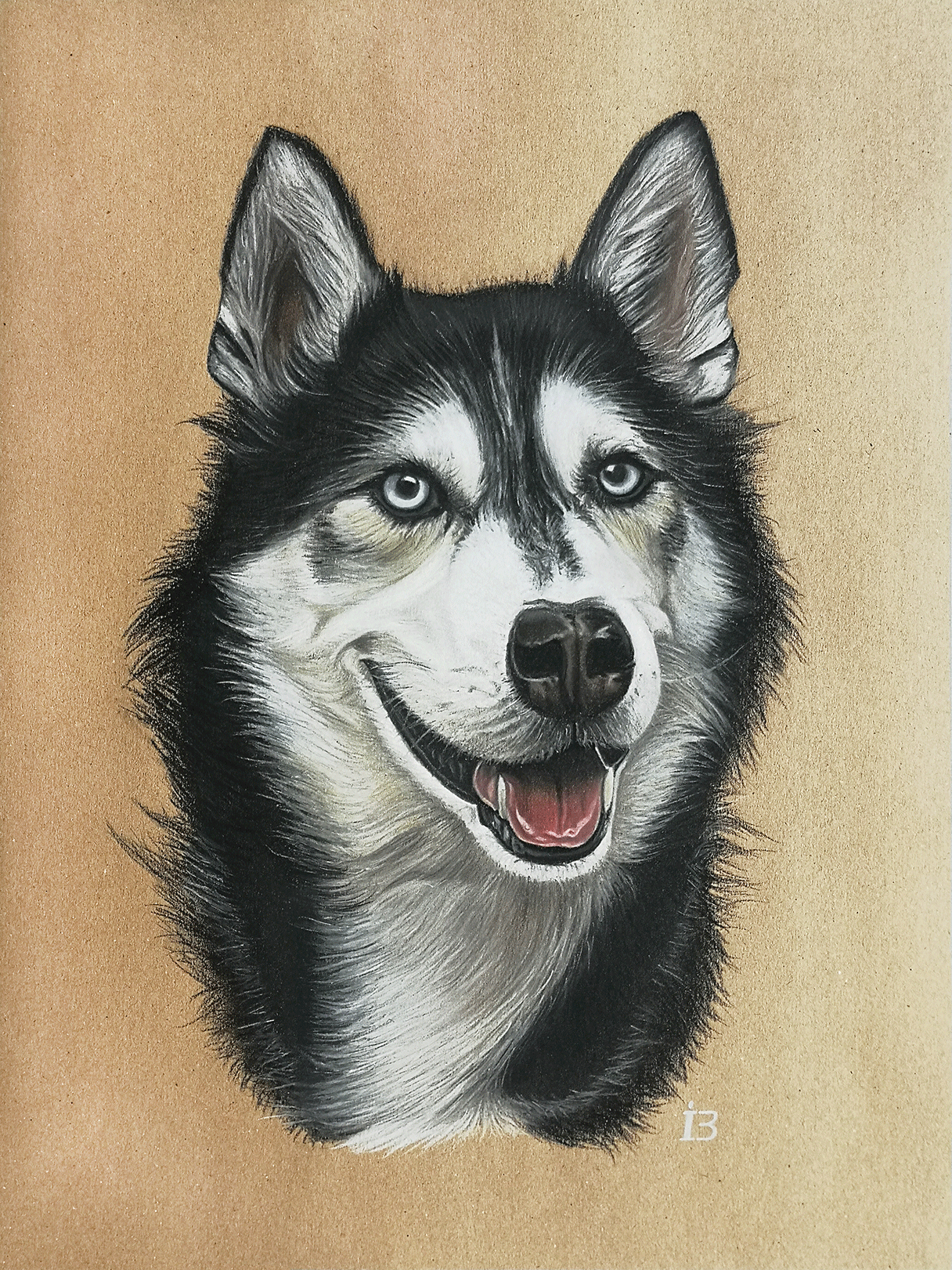 Husky pastel colors on paper