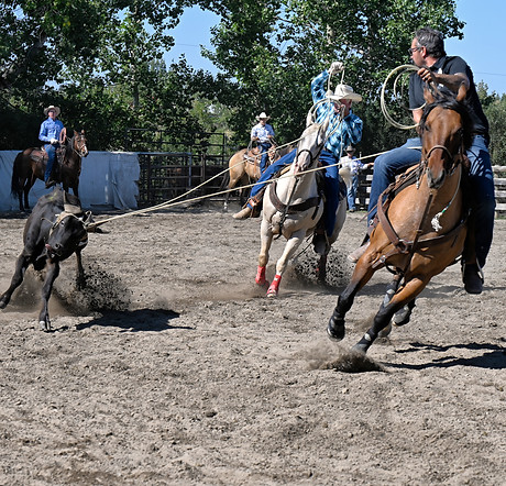 team roping at the rafter 6s byi