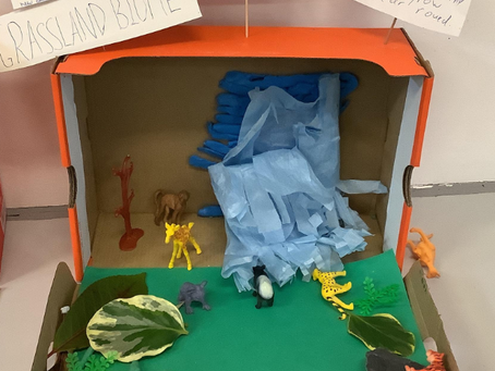 Biomes in a Box!