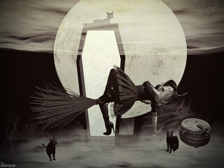 "In my defense the moon was full, and I was left unsupervised."