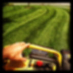 Landscapers in Virginia Beach, Landscaping Norfolk VA, Pavers, Sod, Sod Virginia Beach, Grass, Landscape, Gardening, Virginia Beach Contractors, Virginia Beach Construction, Remodeling Virginia Beach, Construction,