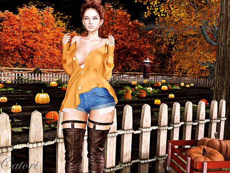 Pumpkin kisses and harvest wishes
