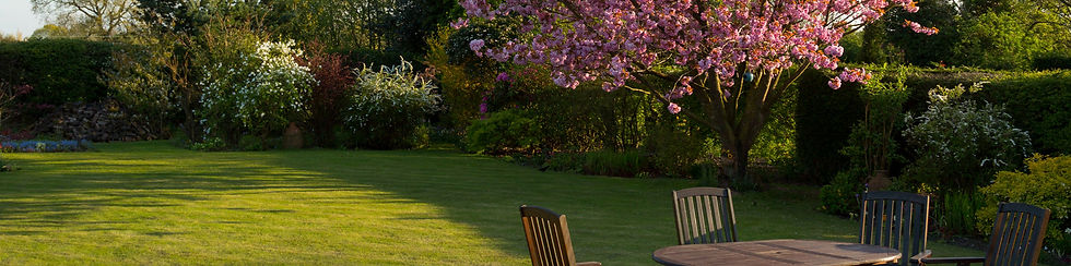 Backyard.jpg