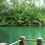 Miniatura: Volcán Osorno – Laguna Verde – Saltos de Petrohue – Lago de Todos los Santos