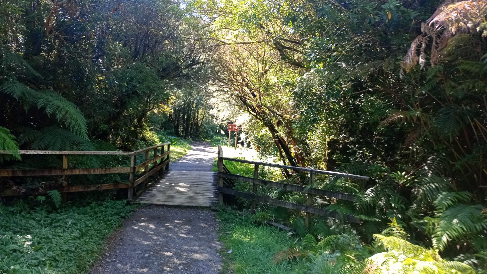 Parque Nacional Alerce Andino (Sendero Huillifotem - Laguna Sargazo)