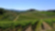 49DFDA1D-2EF5-43A8-A5A6-8C78EAA23986.jpeg
