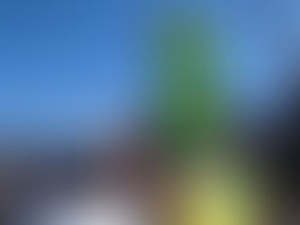 徳島県三好郡のお客様より、ボルボV40T4ターボを車買取ご成約しました🚘️