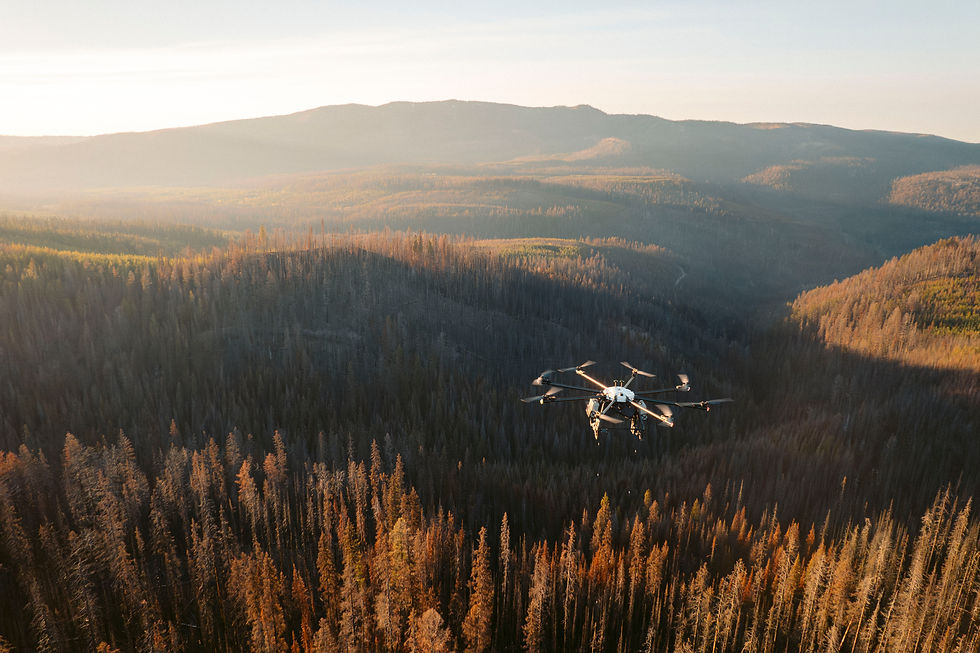 How Drones are Reforesting Canada Faster than You Think